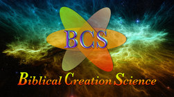 BCS Thumbnail